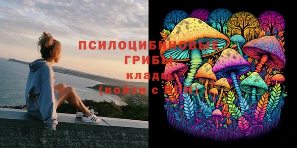 кристаллы Белокуриха