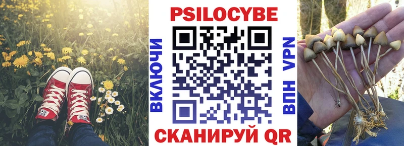 Псилоцибиновые грибы Psilocybine cubensis Дно